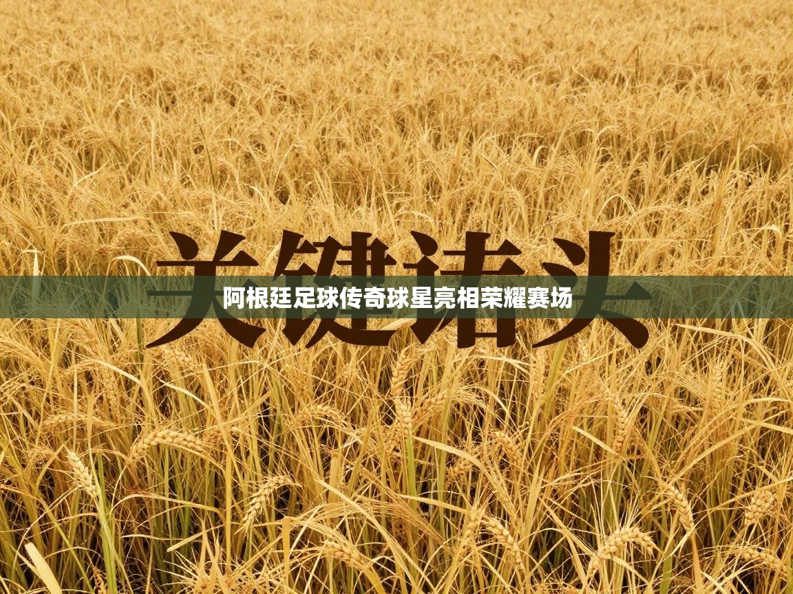 阿根廷足球传奇球星亮相荣耀赛场  第1张