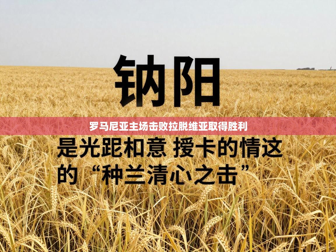 罗马尼亚主场击败拉脱维亚取得胜利  第2张